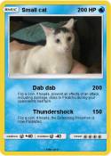Small cat