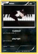 kitten