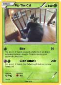 Pip The Cat