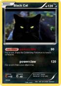 Black Cat