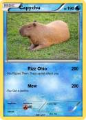 Capychu