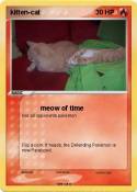 kitten-cat
