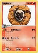 Dog Water