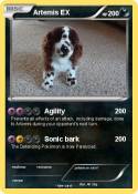Artemis EX
