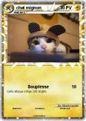 chat mignon