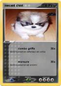 mecant chiot