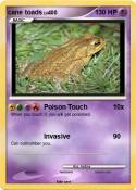 cane toads