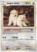 Double chiots