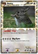 Bunny