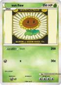 sun flaw