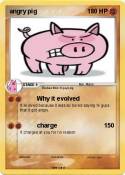 angry pig