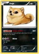 Doge