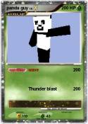 panda guy