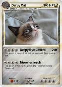 Derpy Cat