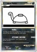 Mine Turtle