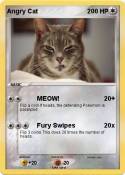 Angry Cat