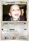 le beau gosse
