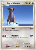 Dog of Wisdom