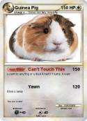 Guinea Pig