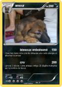 amour
