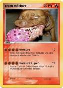 chien méchant