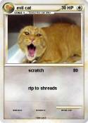 evil cat