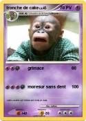tronche de cake