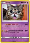 lil bub