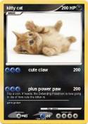 kitty cat