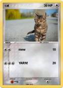 cat