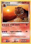 fire animal