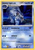 master tigre