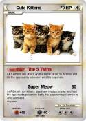Cute Kittens