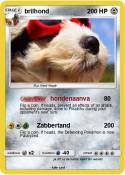 brilhond