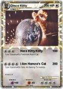 Disco Kitty