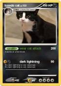 tuxedo cat