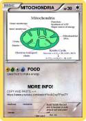 MITOCHONDRIA