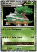 Torterra