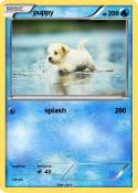 puppy