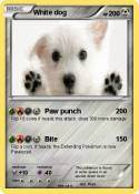 White dog