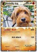 Bella/My dog