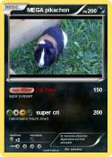 MEGA pikachon