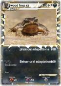 wood frog ex