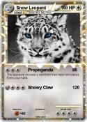 Snow Leopard