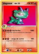 dragonnet niv