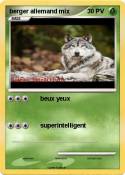 berger allemand