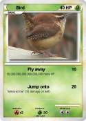Bird