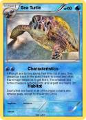 Sea Turtle