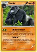 Gorilla