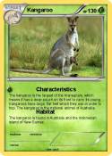 Kangaroo